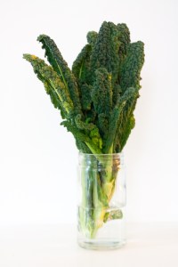 140926 Svartkål-0715