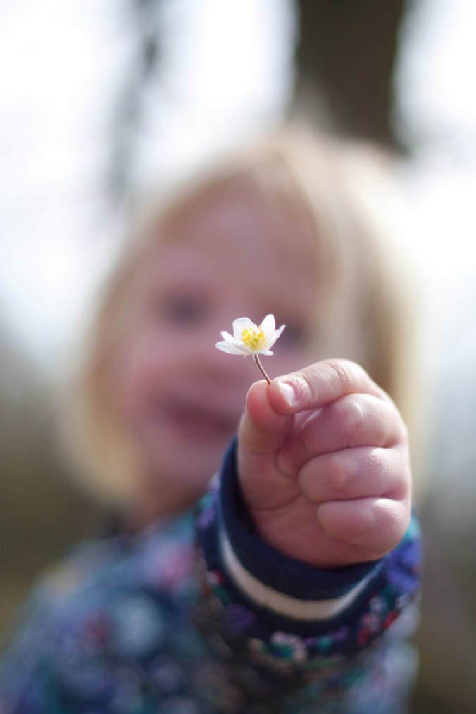 150419 Jerk kyckling-3088