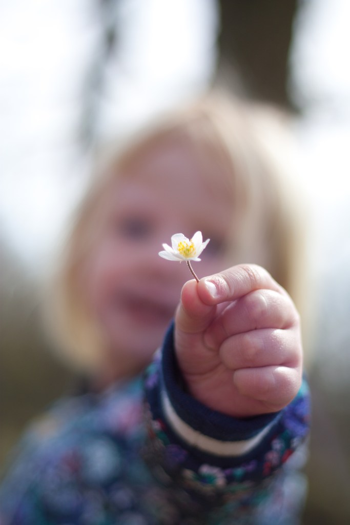 150419 Jerk kyckling-3088