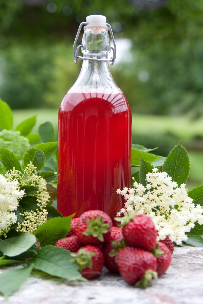 150628 Jordgubbar och fläder-3705