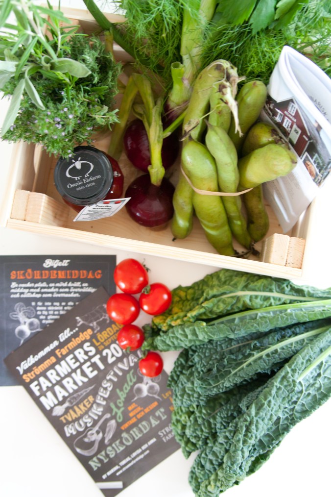 150830 Farmers market-4340