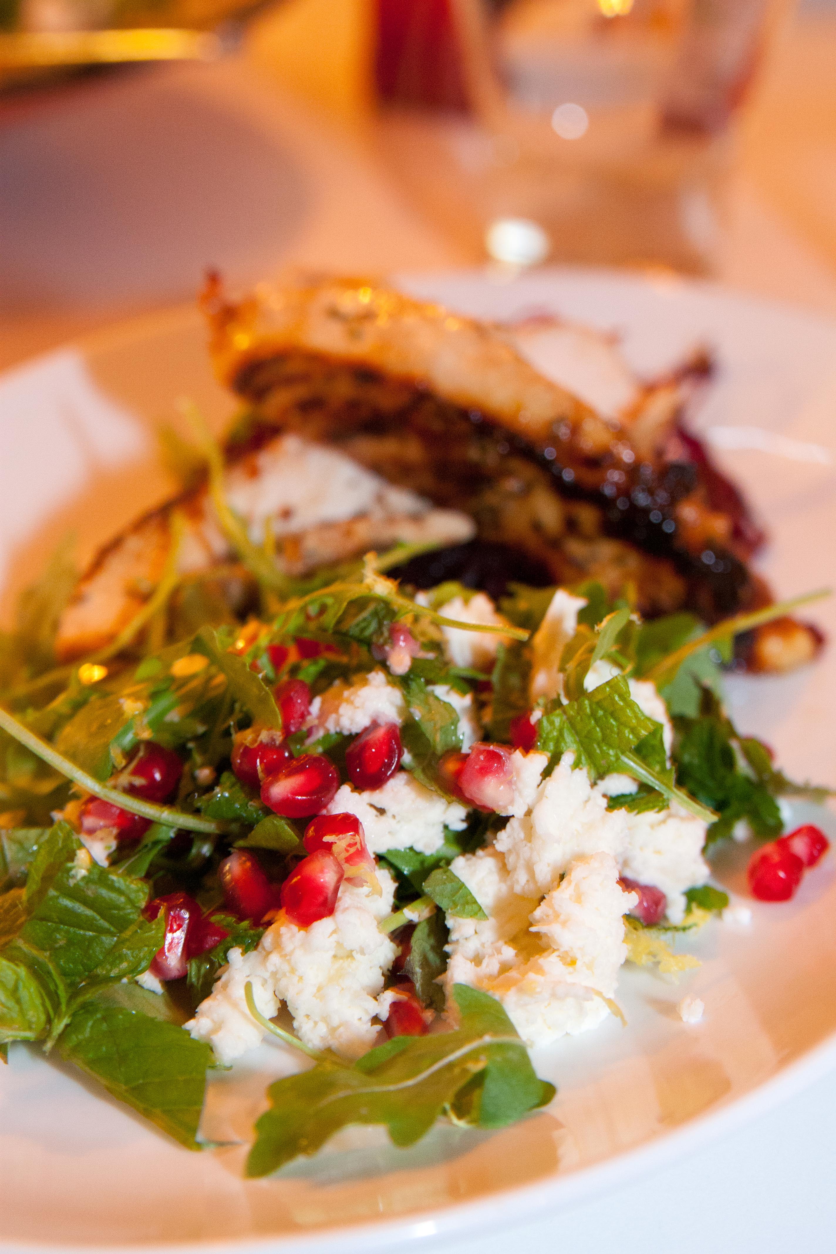 151204 Kyckling med mozzarella och granatsallad-4861