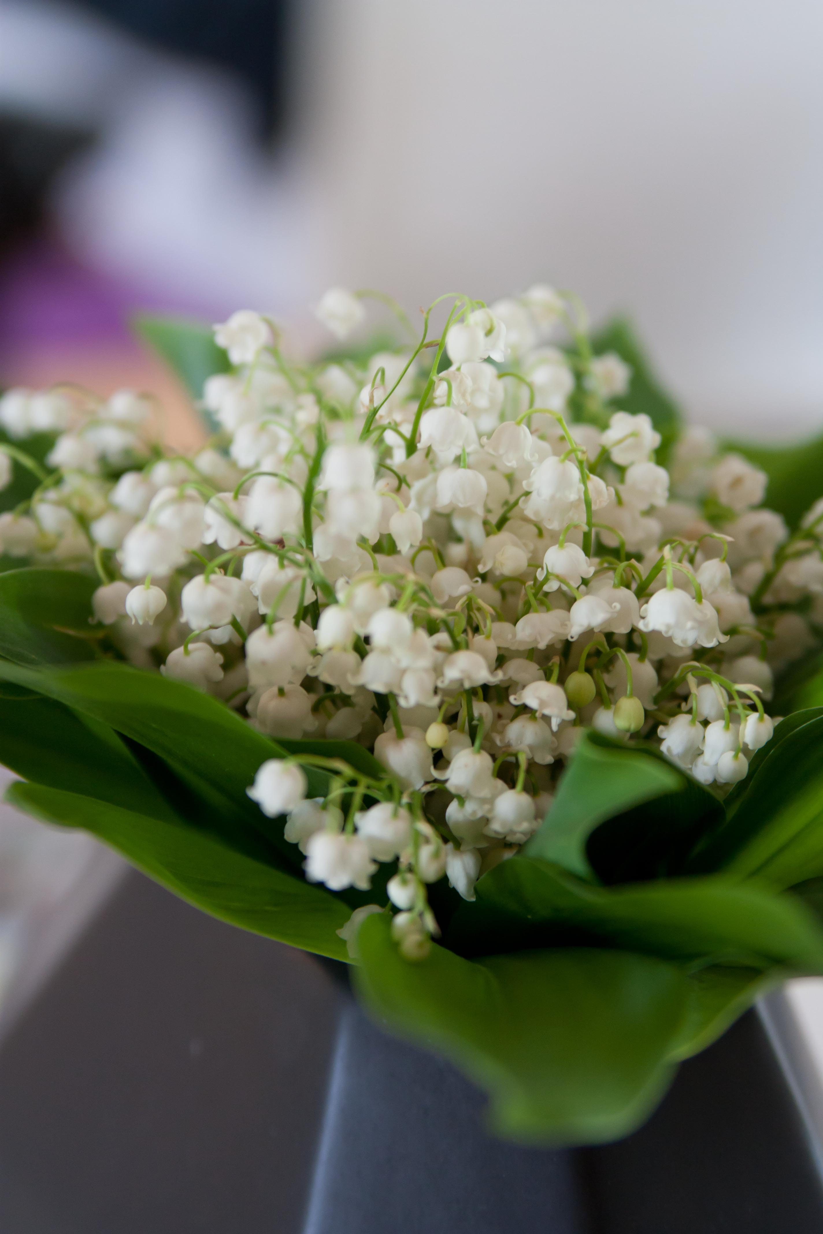 160528 Texmex soppa-5611