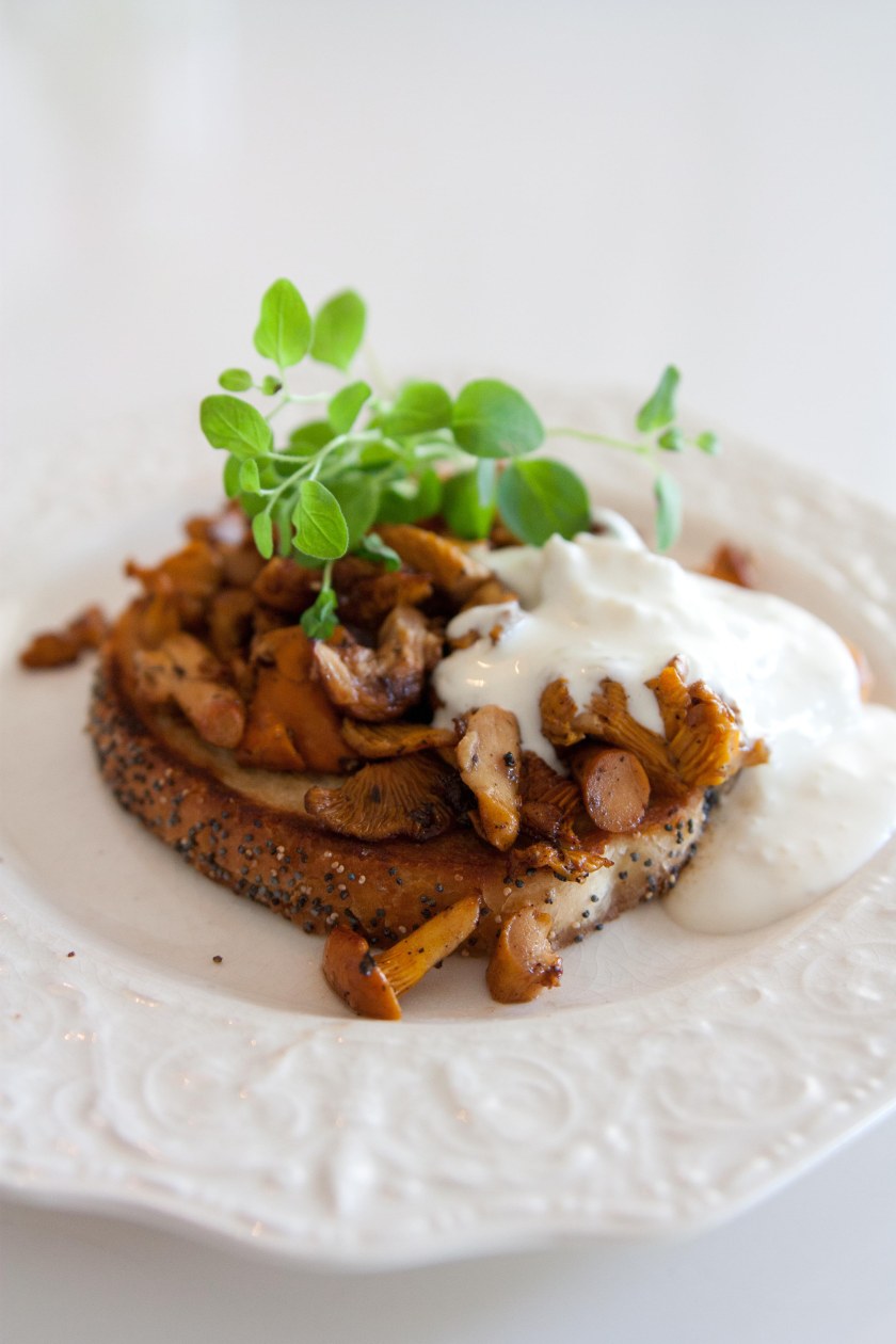 160810 Kantarellmacka-6433