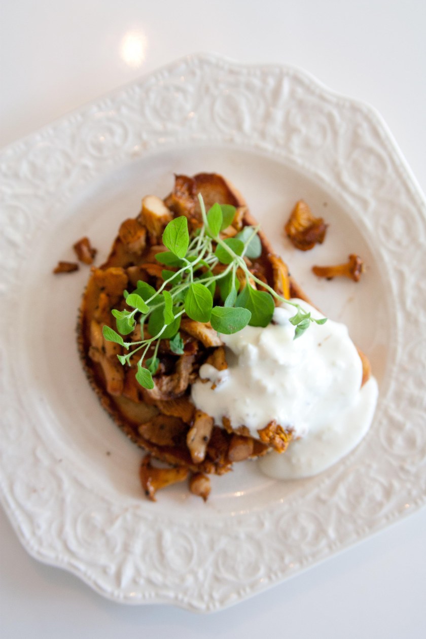 160811 Kantarellmacka-6430